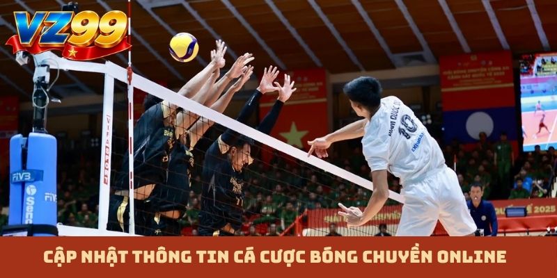 Cập nhật thông tin cá cược bóng chuyền online