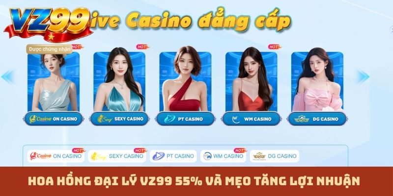Hoa hồng đại lý VZ99 55% và mẹo tăng lợi nhuận