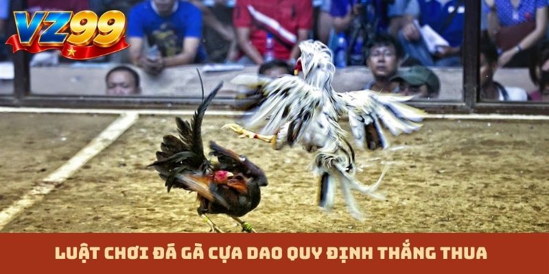 Luật chơi đá gà cựa dao quy định thắng thua