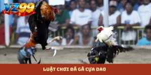 luật chơi đá gà cựa dao